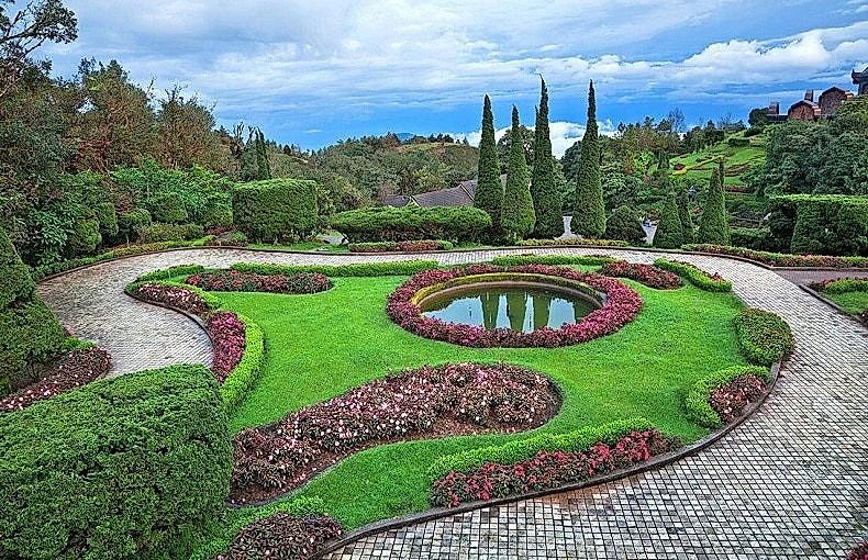 224
